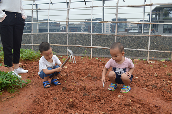 太陽(yáng)能路燈，太陽(yáng)能路燈廠家，太陽(yáng)能路燈價(jià)格