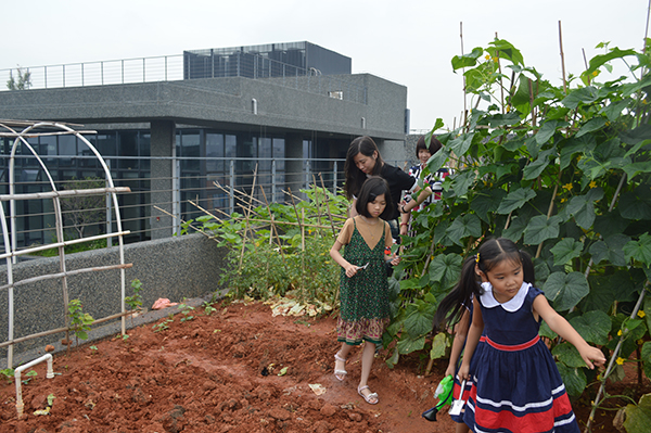 太陽(yáng)能路燈，太陽(yáng)能路燈廠家，太陽(yáng)能路燈價(jià)格