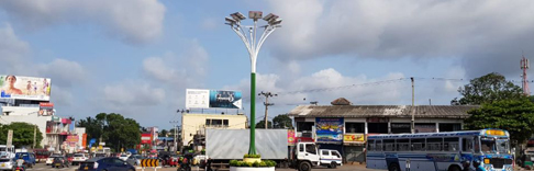 這樣獨具特色的太陽能路燈你見過嗎？