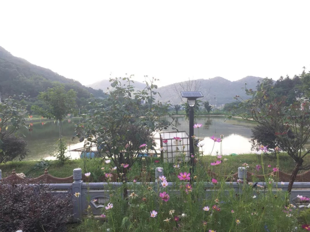 源碼，你所不知道的另一面