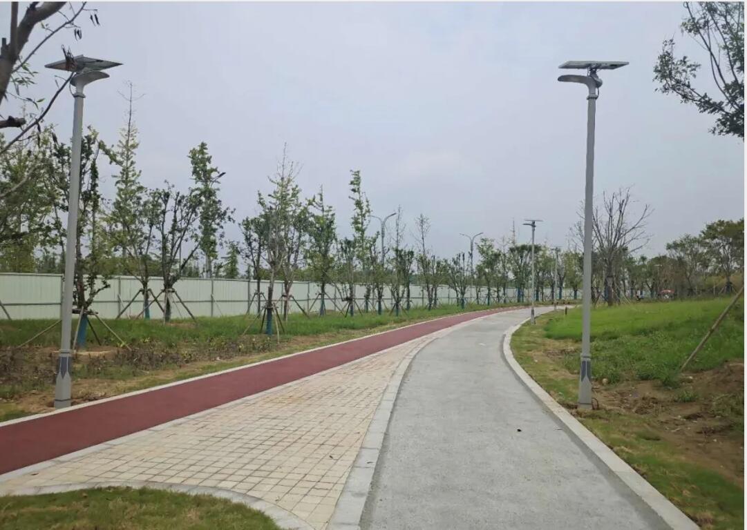 晴空排云雁高飛，源碼項(xiàng)目掀熱潮