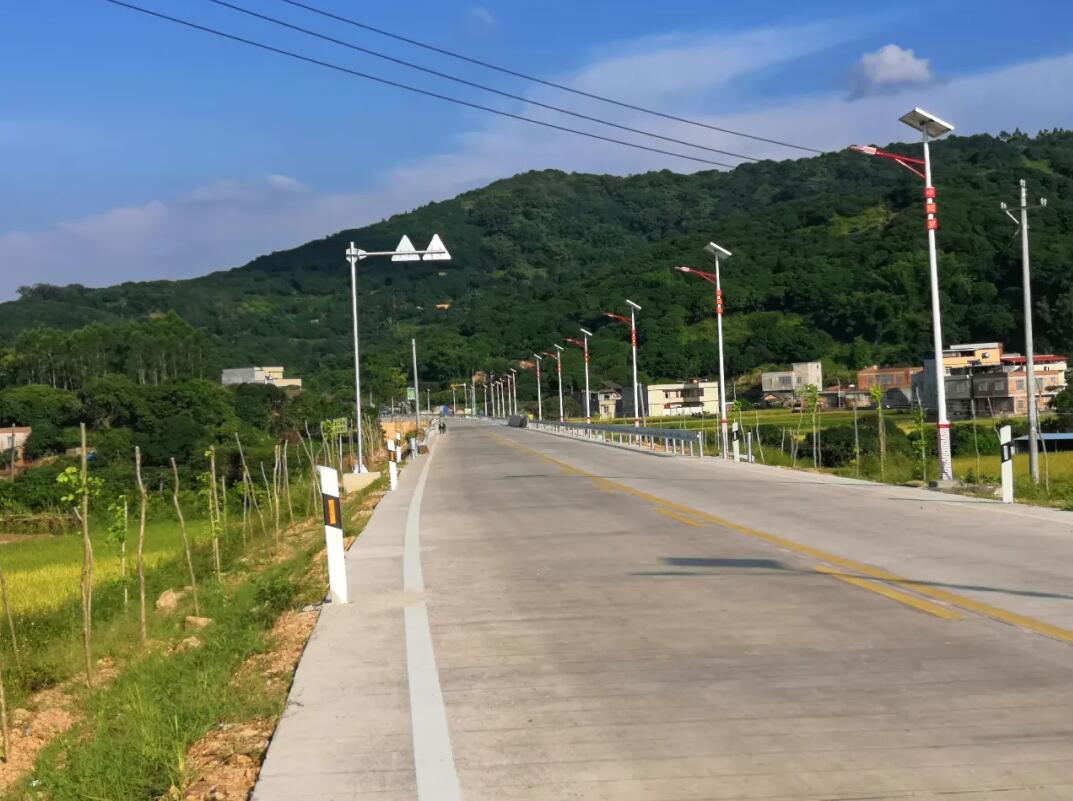 晴空排云雁高飛，源碼項(xiàng)目掀熱潮