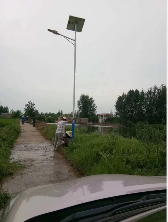 晴空排云雁高飛，源碼項(xiàng)目掀熱潮