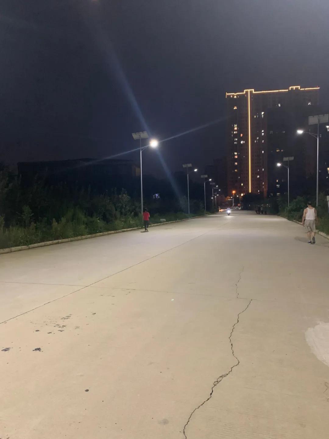 云鵬燈〡九萬里風(fēng)安稅駕，云鵬今悔不卑飛