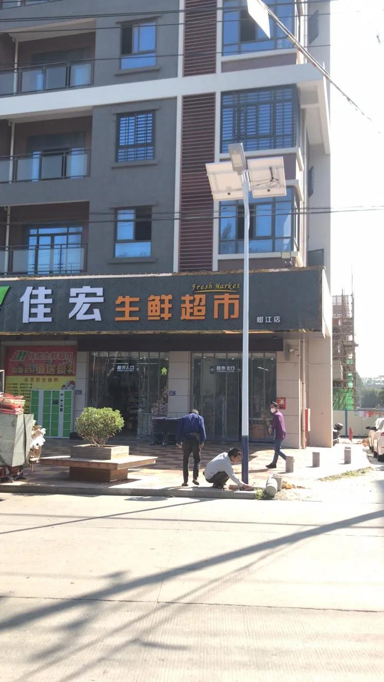 云鵬燈〡九萬里風(fēng)安稅駕，云鵬今悔不卑飛